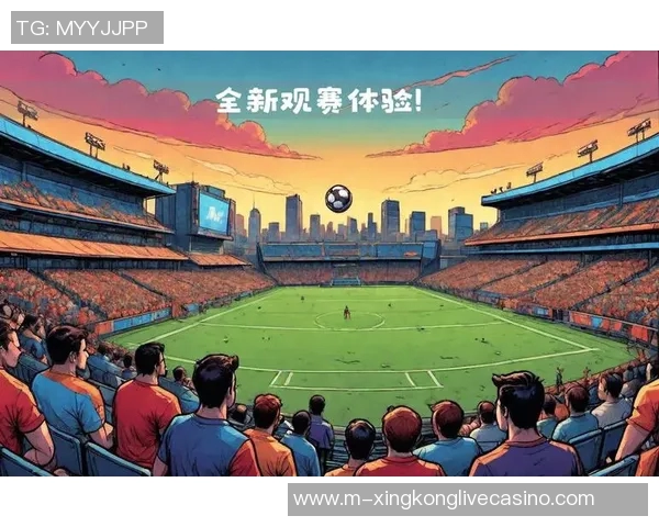 足球数据网全面解析赛事数据助力球迷提升观赛体验与分析能力