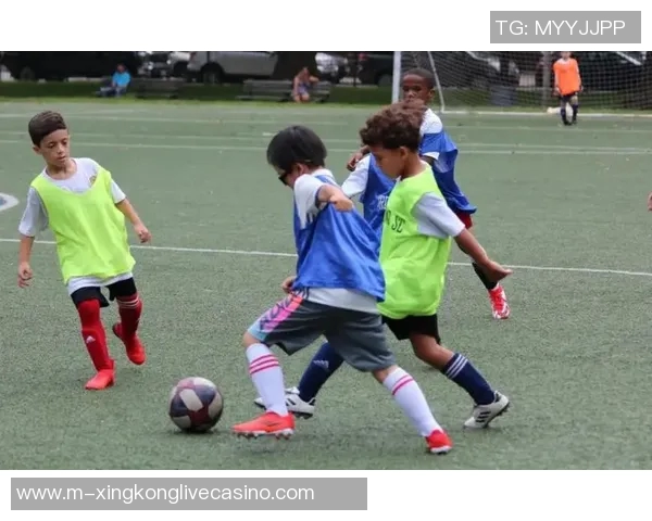 足球教练的智慧与激情如何塑造年轻球员的未来成长之路