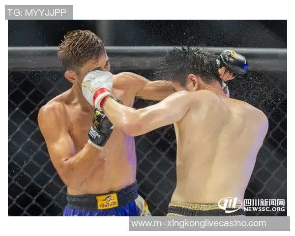 一龙与王知亮巅峰对决谁能问鼎武林之巅揭开搏击新篇章